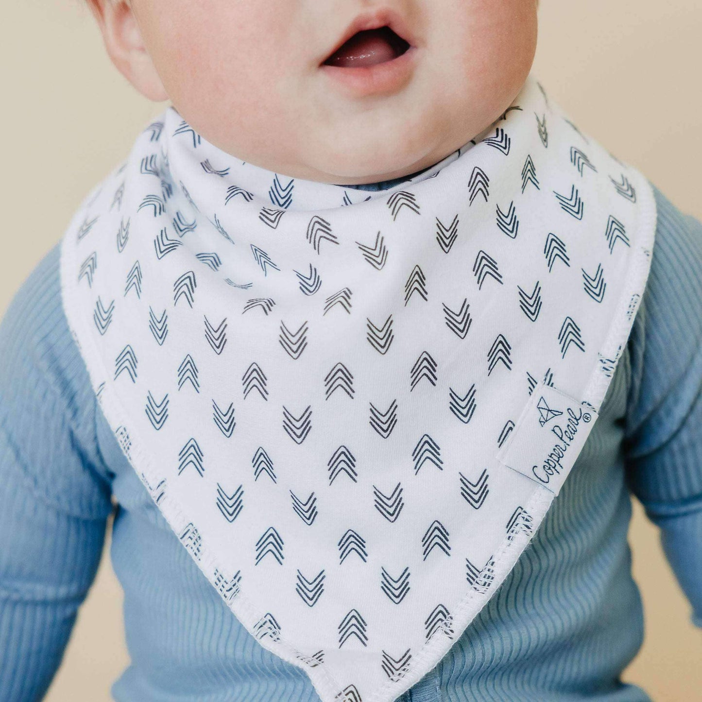 Baby Bandana Bibs - Alta