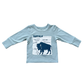 Boy's Long Sleeve Tee: Buffalo