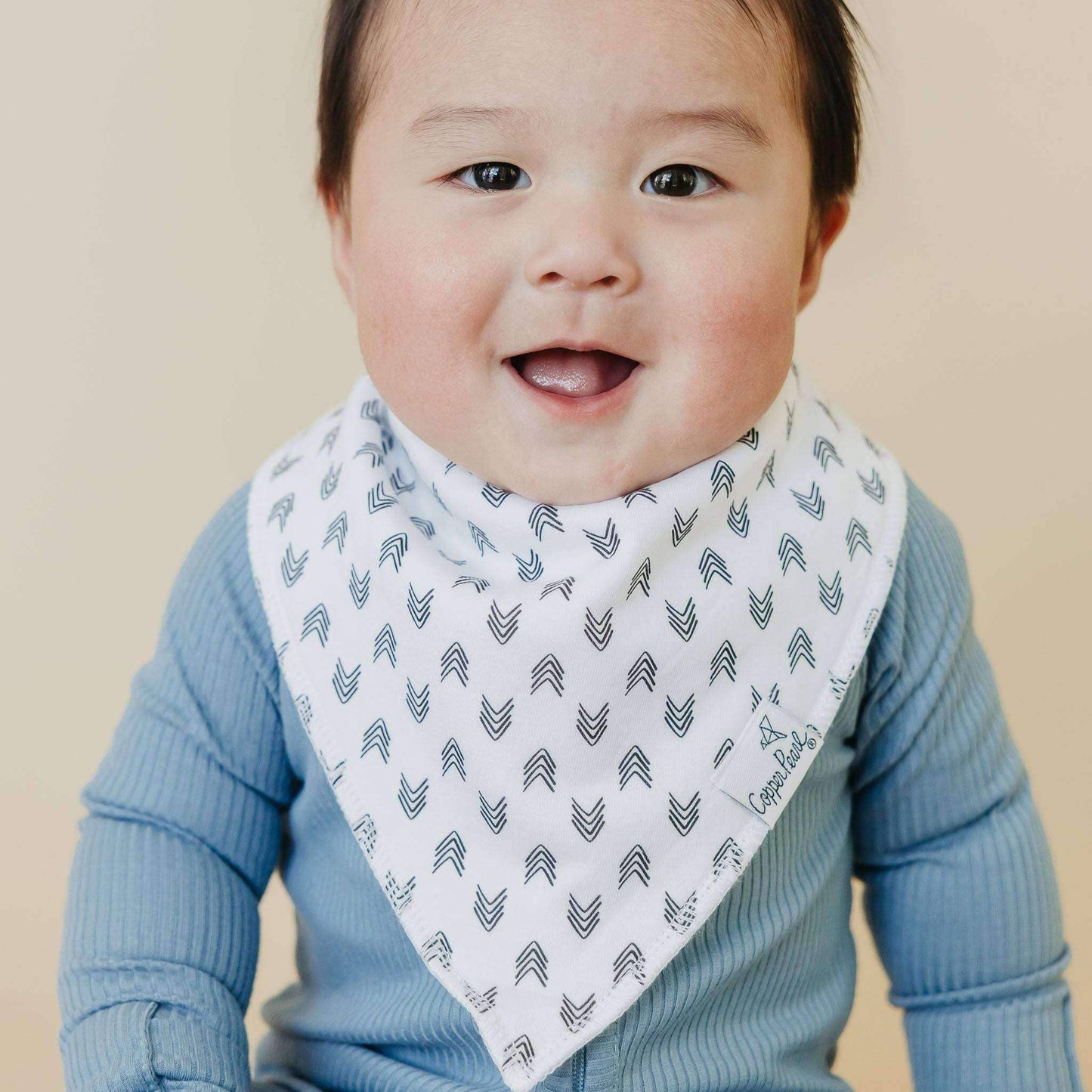 Baby Bandana Bibs - Alta