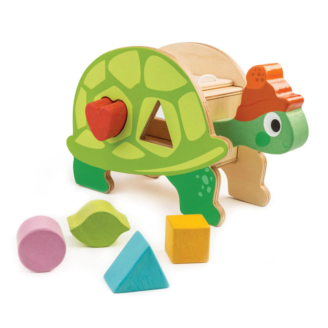 Tortoise Shape Sorter